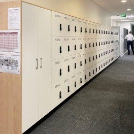 Custom Lockers